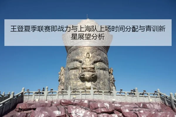 王登夏季联赛即战力与上海队上场时间分配与青训新星展望分析